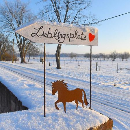 Ferienwohnung Auf Pferdehof Dreetz Екстериор снимка