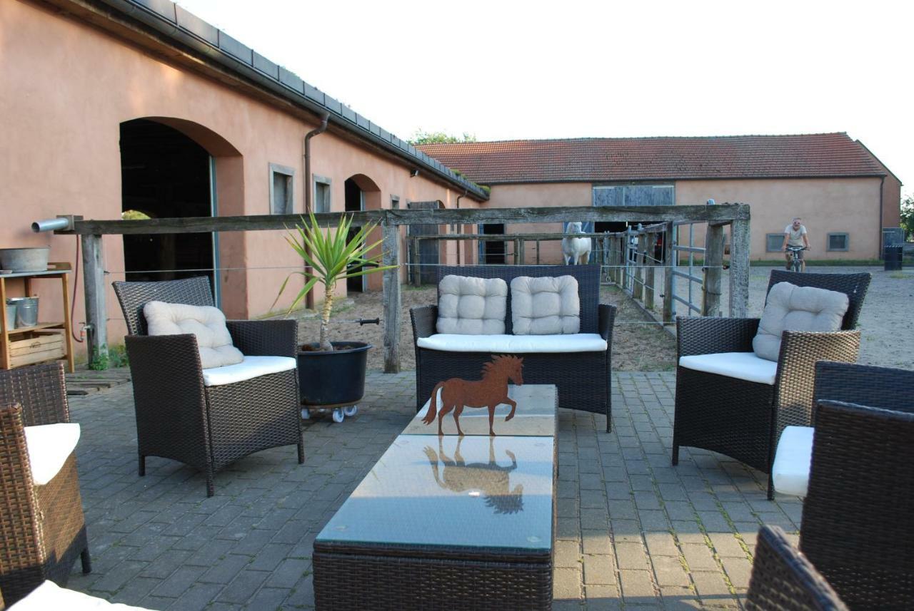 Ferienwohnung Auf Pferdehof Dreetz Екстериор снимка