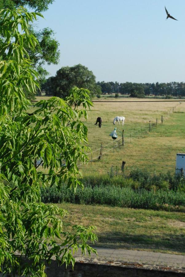 Ferienwohnung Auf Pferdehof Dreetz Екстериор снимка
