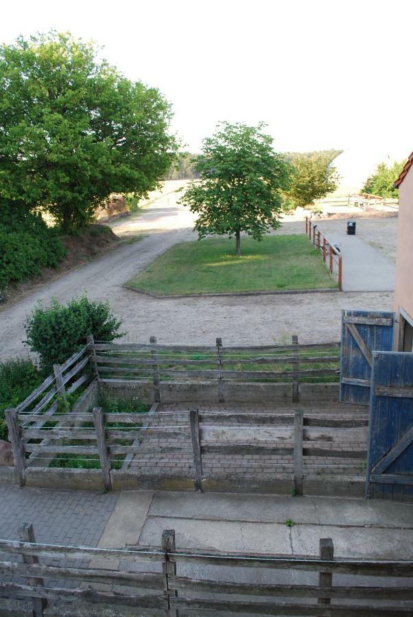 Ferienwohnung Auf Pferdehof Dreetz Екстериор снимка
